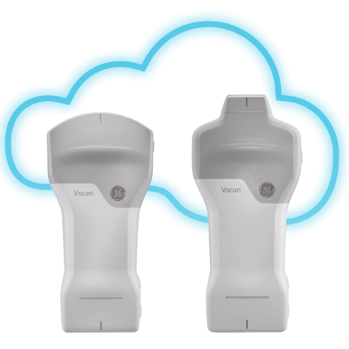 Vscan Extend Sector R2