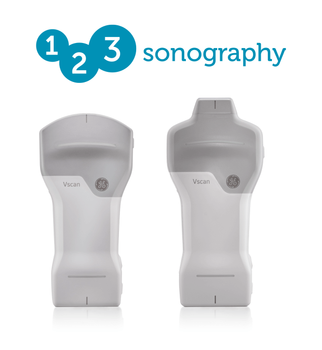 Vscan Extend Sector R2